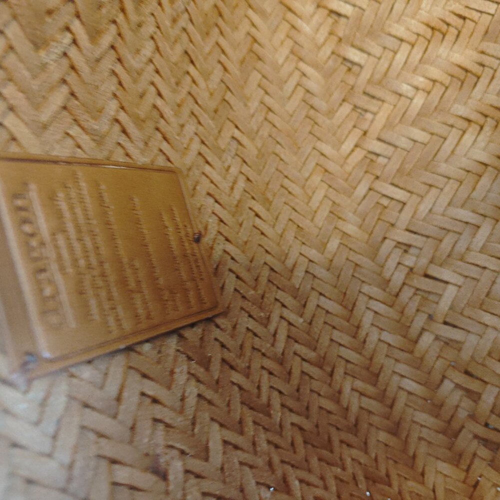 Dragon Diffusion Nantucket Bag - image 5